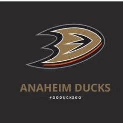 Anaheim Ducks US Flag 3X5Ft Polyester Digital Print Banner USA