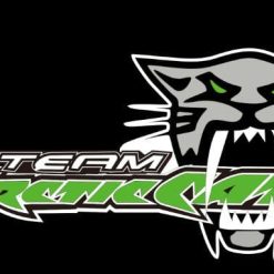 Arctic Cat Black Team Flag 3X5 Ft Polyester Banner USA 90x150cm