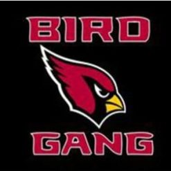 Arizona Cardinals BIRD GANG Black Flag 3X5 Ft Polyester Banner USA 90x150cm