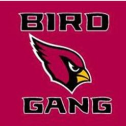 Arizona Cardinals BIRD GANG Flag 3X5 Ft Polyester Banner USA 90x150cm
