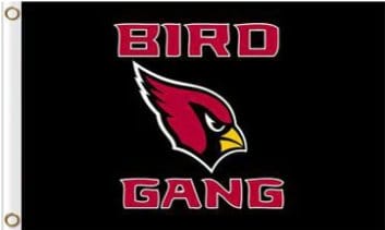 Arizona Cardinals Club Flag 3X5 Ft Polyester Banner USA 90x150cm