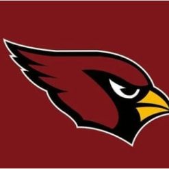 Arizona Cardinals Team Flag 3X5 Ft Polyester Banner USA 90x150cm