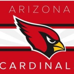 Arizona Cardinals Team US Flag 3X5 Ft Polyester Banner USA 90x150cm