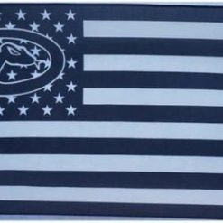 Arizona Diamondbacks US flag 3X5Ft Banner USA Polyester with Brass Grommets