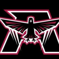 Atlanta Falcons Black US Flag 3X5 Ft Polyester Banner USA 90x150cm