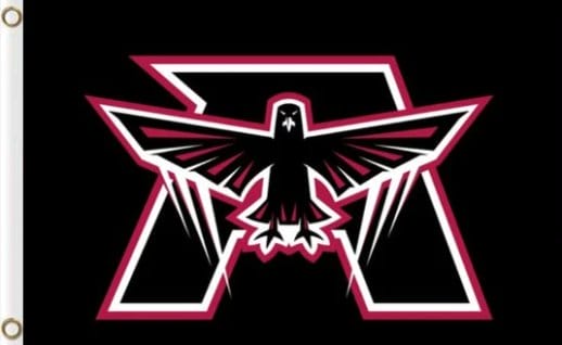 Atlanta Falcons Black US Flag 3X5 Ft Polyester Banner USA 90x150cm