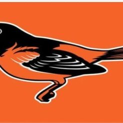Baltimore Orioles Baseball Club Orange flag 3X5Ft Banner USA Polyester with Brass Grommets - 22
