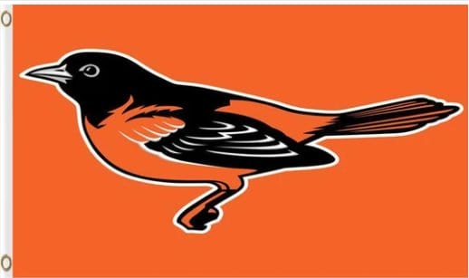Baltimore Orioles Baseball Club Orange flag 3X5Ft Banner USA Polyester with Brass Grommets - 22