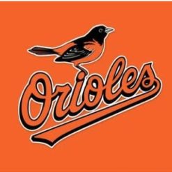Baltimore Orioles Baseball Team Orange flag 3X5Ft Banner USA Polyester with Brass Grommets - 25