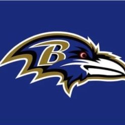 Baltimore Ravens Flag 3X5 Ft Polyester Banner USA 90x150cm