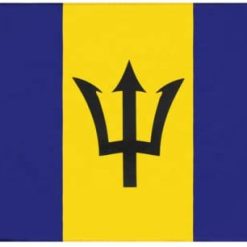 Barbados 3x5FT Polyester Flag Banner Caribbean Country Man Cave Dorm Gift Flying