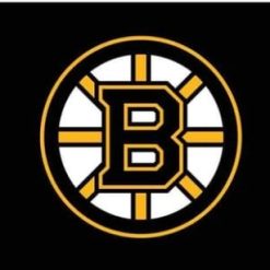 Boston Bruins Custom Black Flag 3X5Ft Polyester Digital Print Banner USA