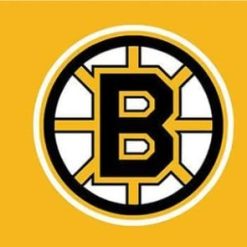Boston Bruins Custom Flag 3X5Ft Polyester Digital Print Banner USA