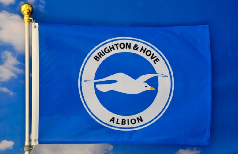 Brighton Football Club Flag Blue 3x5ft Banner polyester