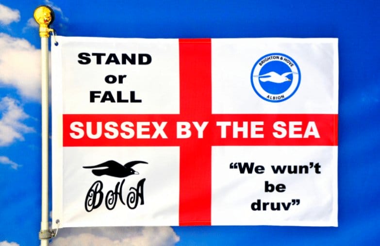 Brighton Football Club Flag Stand or Fall 3x5ft Banner polyester