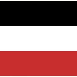 Bristol City Black White and Red Football Club Flag 3x5ft Banner polyester