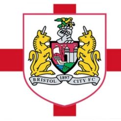 Bristol City Football Club Flag 3x5ft Banner polyester Red White