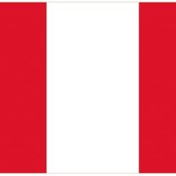 Bristol City Red and White Tricolour Football Club Flag 3x5ft Banner polyester