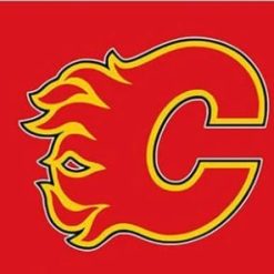 Calgary Flames Custom Flag 3X5Ft Polyester Digital Print Banner USA