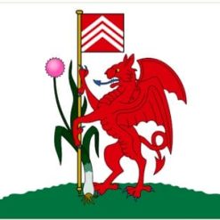 Cardiff City Wales Flag 3x5ft Banner Polyester