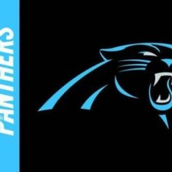 Carolina Panthers Black US Flag 3X5 Ft Polyester Banner USA 90x150cm