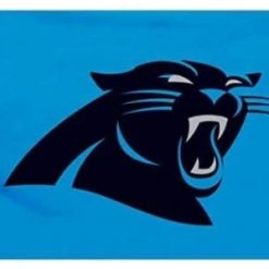 Carolina Panthers Blue US Flag 3X5 Ft Polyester Banner USA 90x150cm