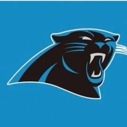 Carolina Panthers Logo Stripe Flag 3X5 Ft Polyester Banner USA 90x150cm