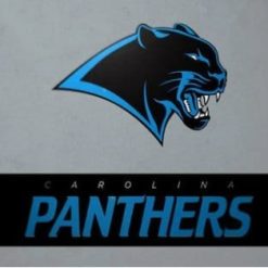 Carolina Panthers Logo US Flag 3X5 Ft Polyester Banner USA 90x150cm