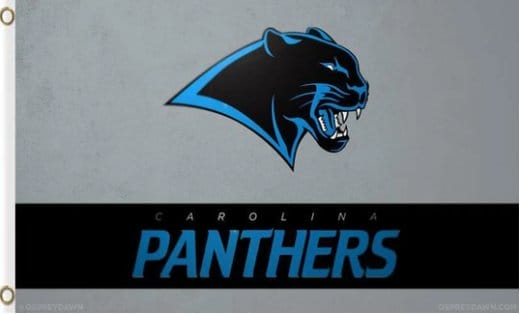 Carolina Panthers Logo US Flag 3X5 Ft Polyester Banner USA 90x150cm