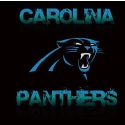 Carolina Panthers Sport Flag 3X5 Ft Polyester Banner USA 90x150cm