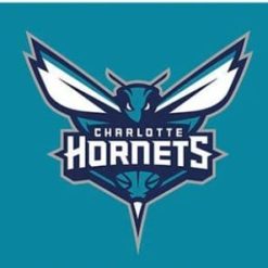 Charlotte Hornets Basketball Custom US Flag 3X5Ft Polyester Banner USA Digital Print