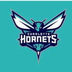 Charlotte Hornets Sport Basketball Custom US Flag 3X5Ft Polyester Banner USA Digital Print