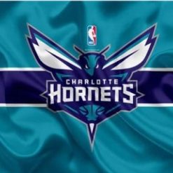 Charlotte Hornets Sport Custom US Flag 3X5Ft Polyester Banner USA Digital Print
