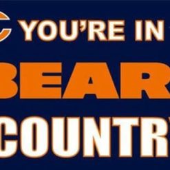 Chicago Bears Digital Sport Flag 3X5 Ft Polyester Banner USA 90x150cm