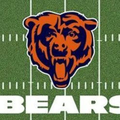 Chicago Bears Green Flag 3X5 Ft Polyester Banner USA 90x150cm