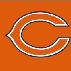 Chicago Bears Logo Two Strip Team Flag 3X5 Ft Polyester Banner USA 90x150cm