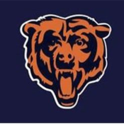 Chicago Bears National Flag 3X5 Ft Polyester Banner USA 90x150cm