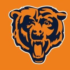 Chicago Bears Orange Flag 3X5 Ft Polyester Banner USA 90x150cm