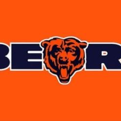 Chicago Bears Orange Flag 3X5 Polyester Banner USA 90x150cm
