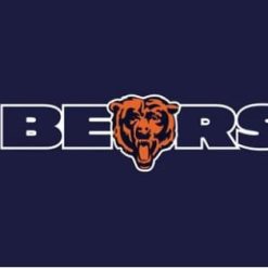 Chicago Bears Team Blue Flag 3X5 Ft Polyester Banner USA 90x150cm