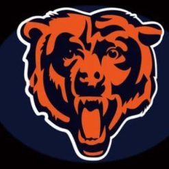 Chicago Bears Team US Flag 3X5 Ft Polyester Banner USA 90x150cm