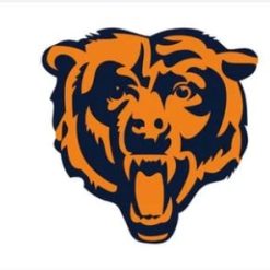 Chicago Bears White Flag 3X5 Ft Polyester Banner USA 90x150cm