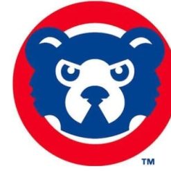Chicago Cub Baseball Club Flag 3X5Ft Banner USA Polyester with Brass Grommets - 16