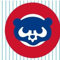 Chicago Cub Baseball Club Flag 3X5Ft Banner USA Polyester with Brass Grommets - 18