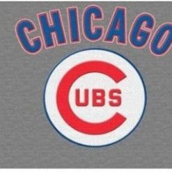 Chicago Cub Team Flag 3X5Ft Banner USA Polyester with Brass Grommets
