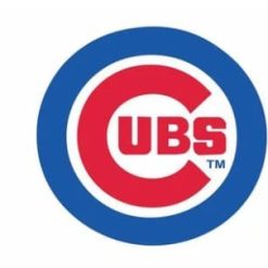 Chicago Cub Team US Flag 3X5Ft Banner USA Polyester with Brass Grommets - 7
