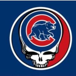 Chicago Cubs Dead Skull Flag 3X5Ft Banner USA Polyester with Brass Grommets