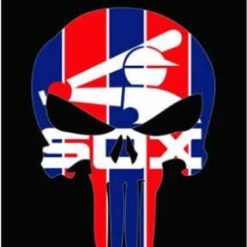 Chicago White Sox flag 3X5Ft Banner USA Polyester with Brass Grommets - 1