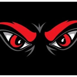 Cincinnati Bearcats Hand Black Flag 3X5ft Banner USA Polyester with 2 Brass Grommets