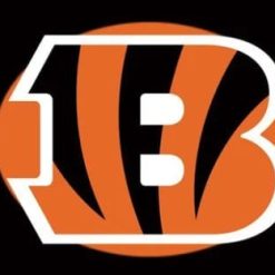 Cincinnati Bengals Black Flag 3X5 Ft Polyester Banner USA 90x150cm